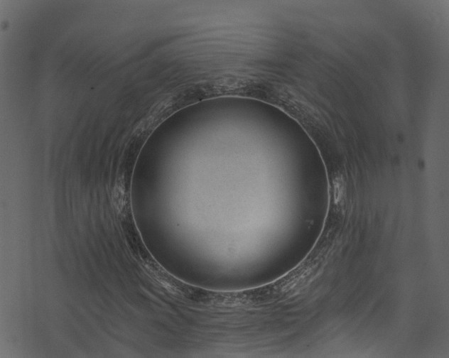 X0000074241011200608251133
