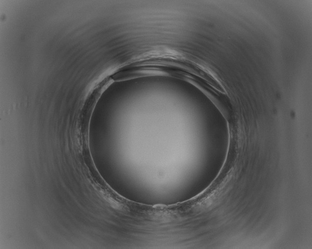 X0000074241018200608251133