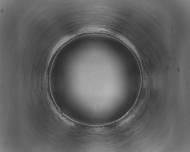 X0000074241053200608251134