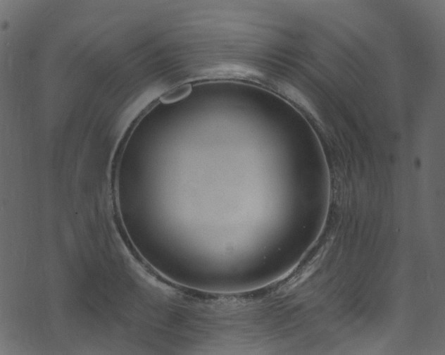 X0000074241087200608251132