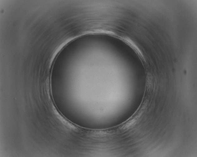 X0000074241100200608251132