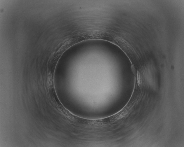 X0000074241107200608251131