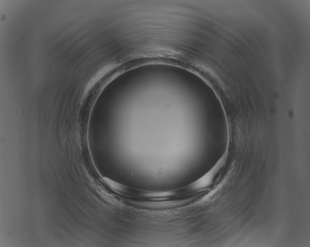 X0000074241114200608251131