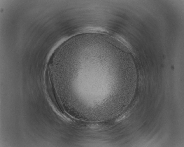 X0000074241128200608251132