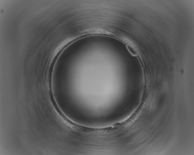 X0000074241141200608251132