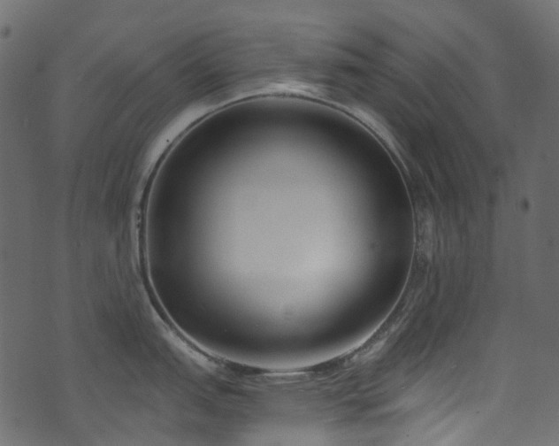 X0000074241151200608251132