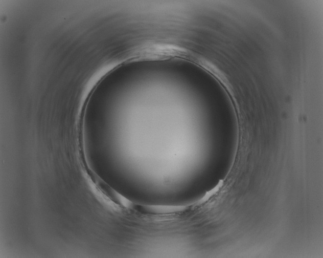 X0000074241152200608251132