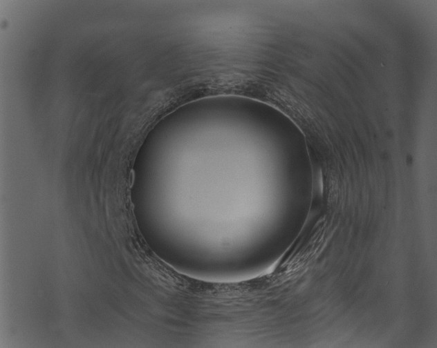 X0000074241153200608251131