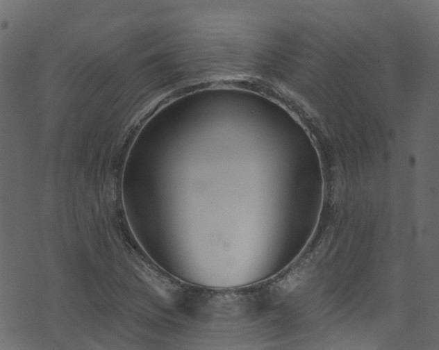 X0000074241169200608251131