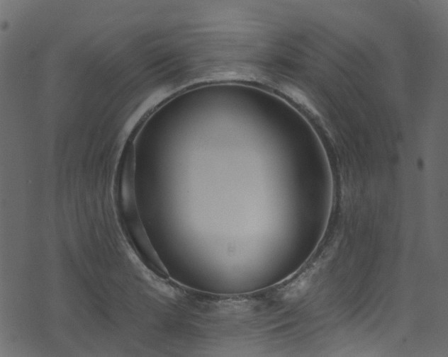 X0000074241181200608251131