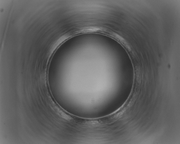 X0000074241186200608251131