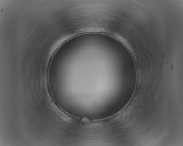 X0000074241187200608251131