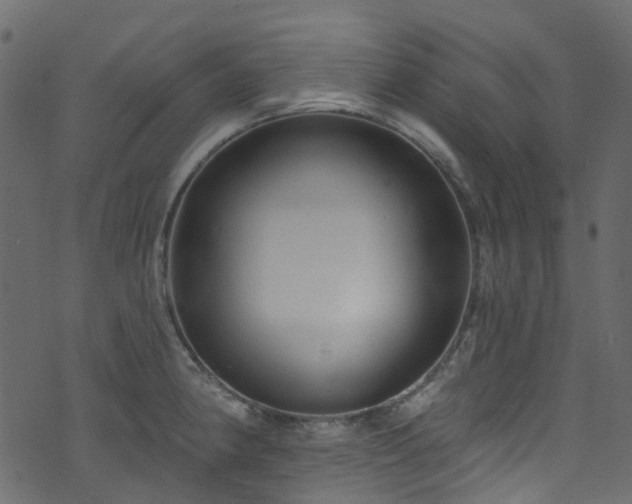 X0000074241190200608251131