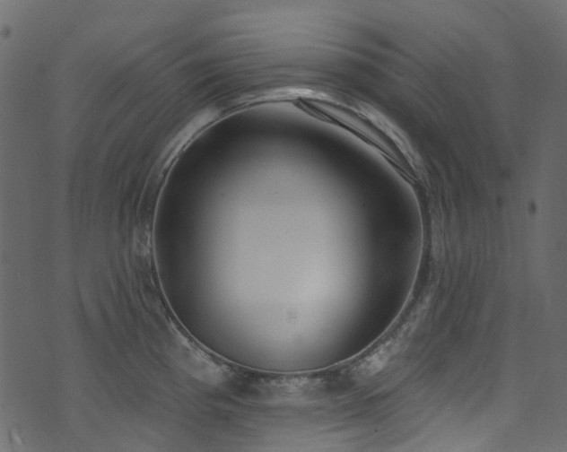 X0000074241193200608251131