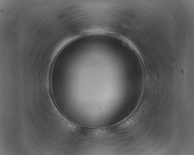 X0000074241195200608251131