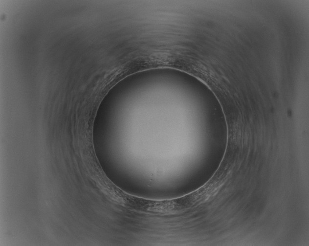 X0000074241201200608251130
