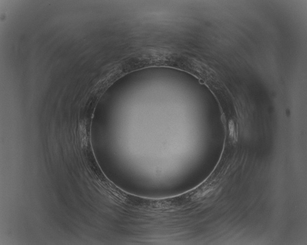 X0000074241203200608251130