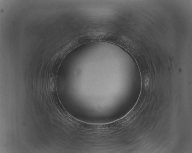 X0000074241204200608251130