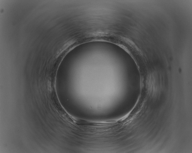 X0000074241209200608251130