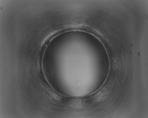 X0000074241214200608251130