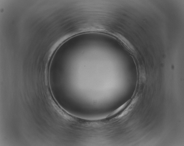 X0000074241246200608251130