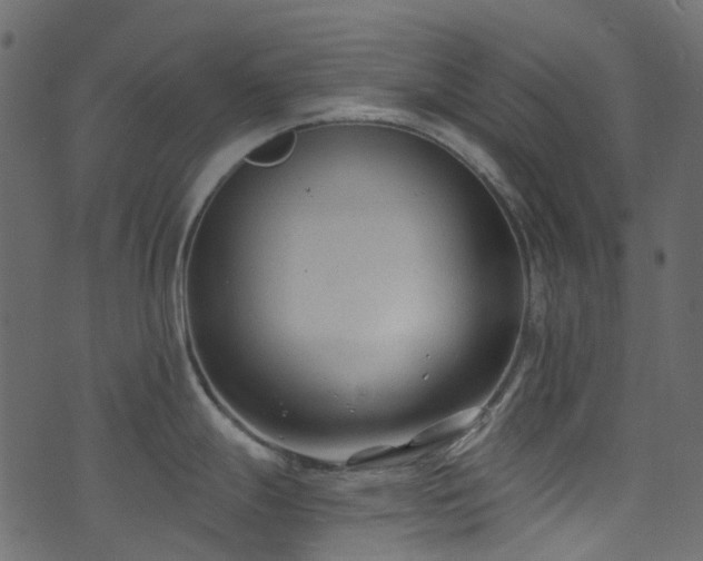 X0000074241247200608251130