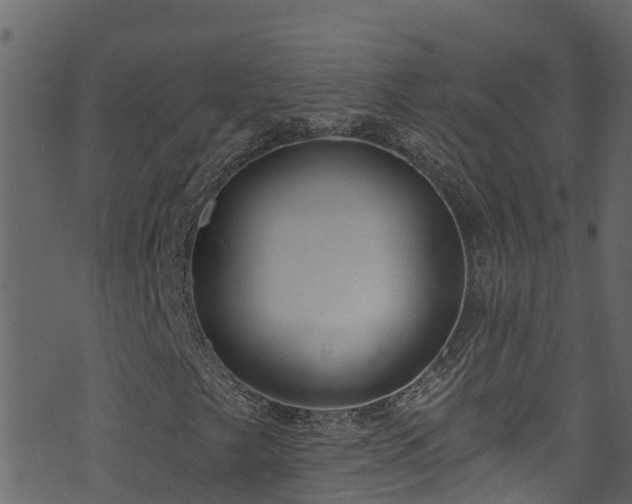 X0000074241249200608251130
