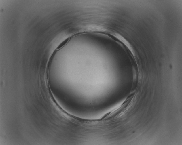X0000074241293200608251129