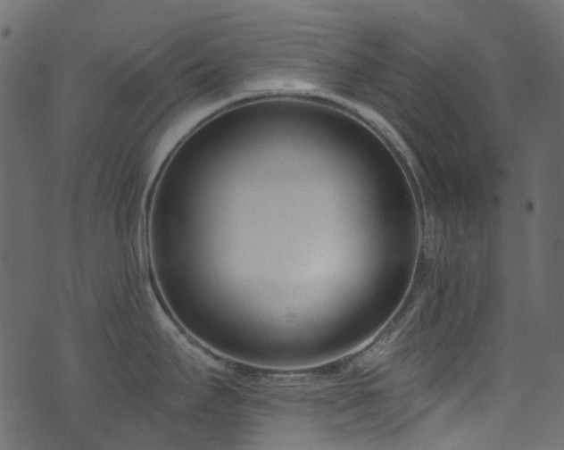 X0000074241295200608251129