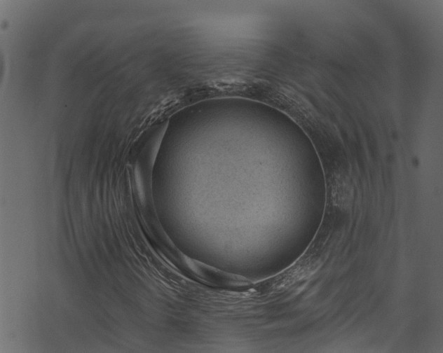 X0000074241298200608251128
