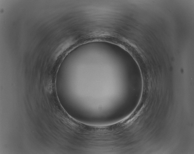 X0000074241306200608251128