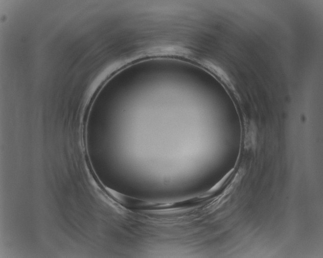 X0000074241342200608251129