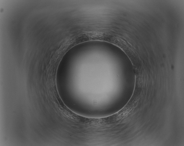 X0000074241345200608251128