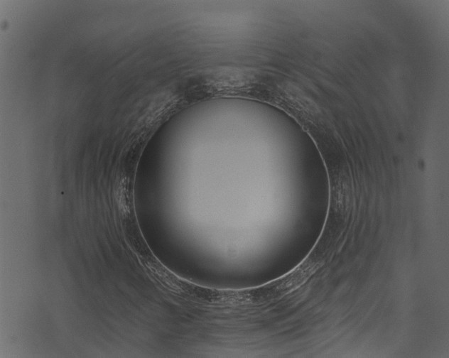 X0000074241346200608251128