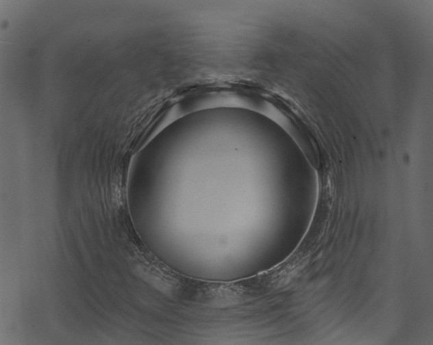 X0000074241348200608251128