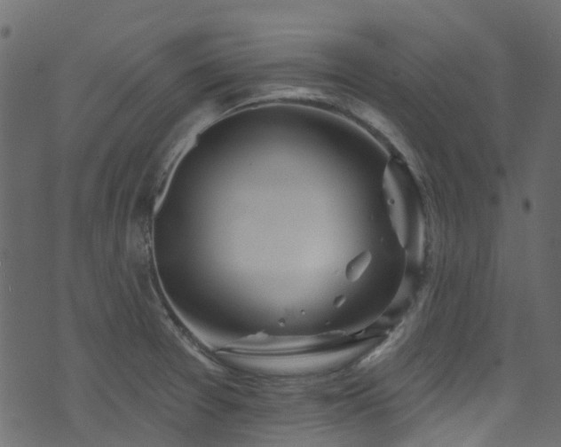 X0000074241377200608251128