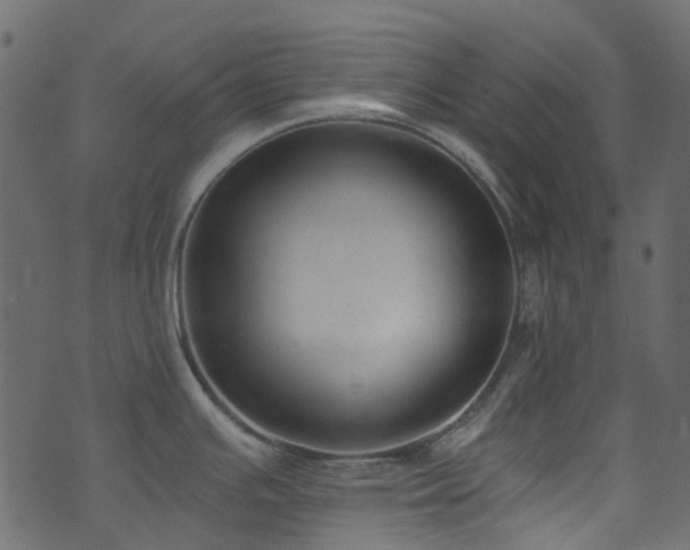 X0000074241391200608251127