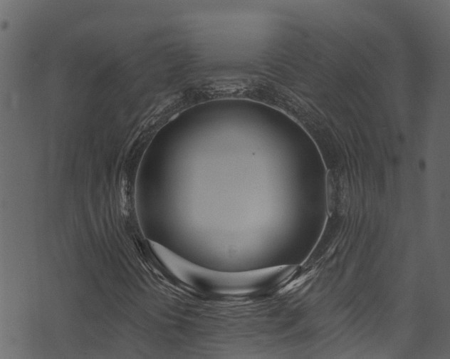 X0000074241394200608251127