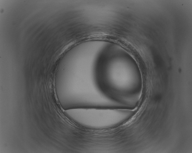 X0000074241401200608251127