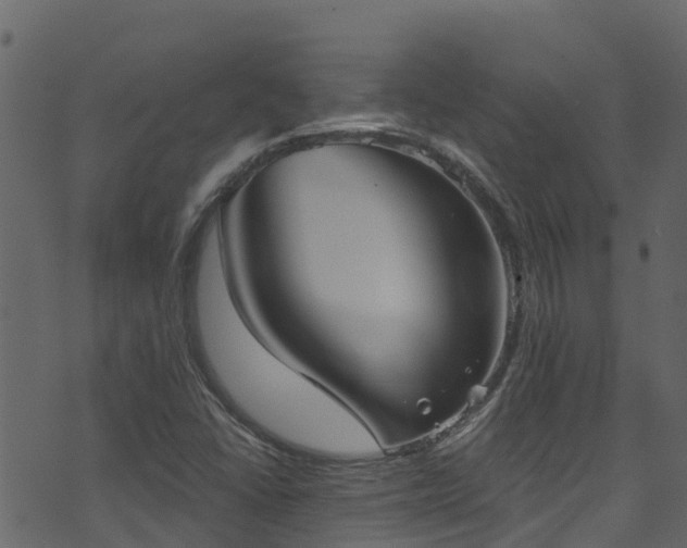 X0000074241406200608251127