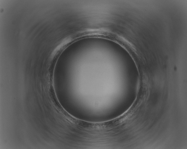 X0000074241411200608251127