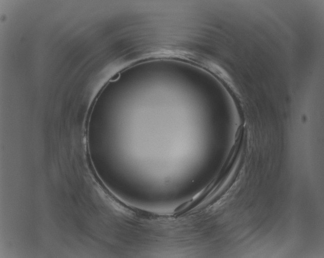 X0000074241428200608251127