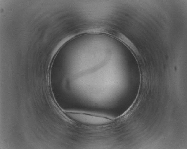 X0000074241436200608251127