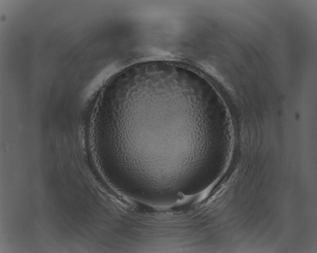 X0000074241455200608251126