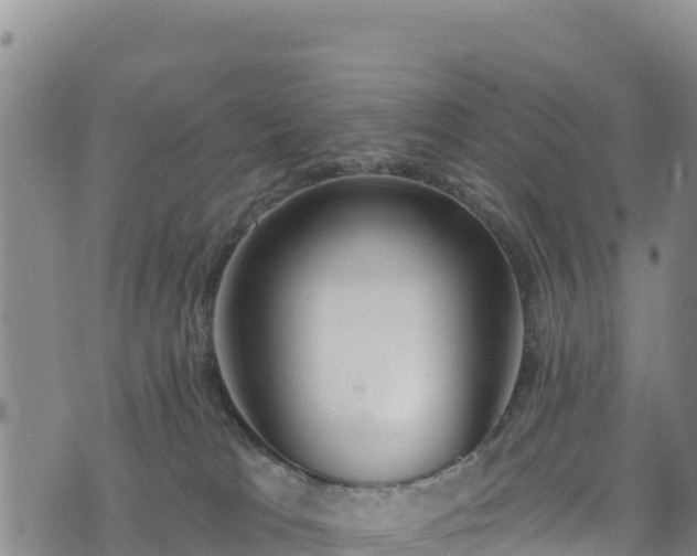 X0000074240037200609011318