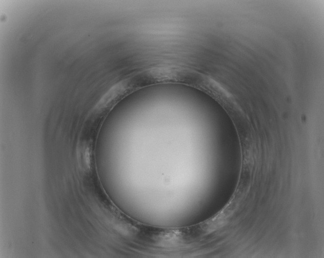 X0000074240124200609011316