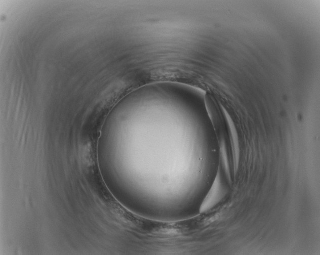 X0000074240224200609011315