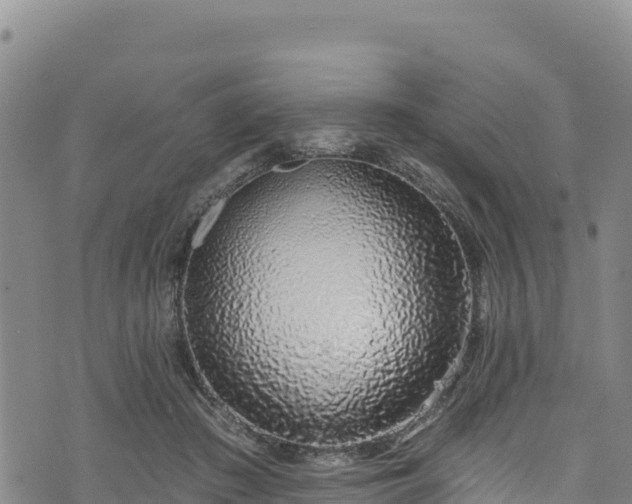 X0000074240409200609011312