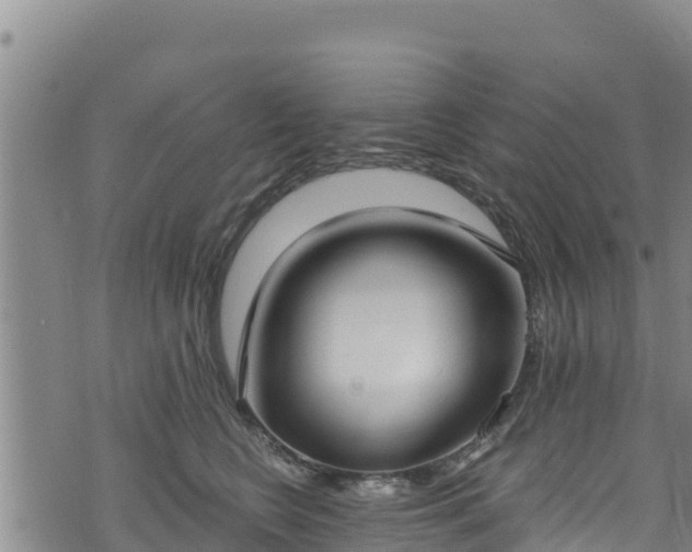 X0000074240566200609011310