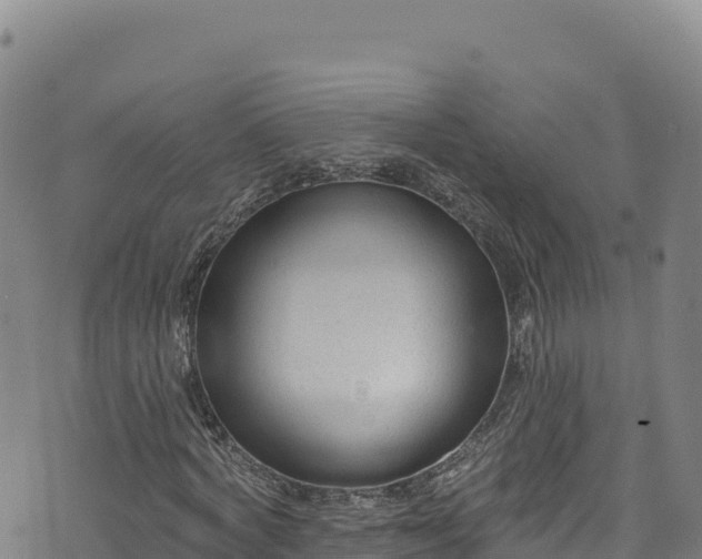 X0000074240772200609011306
